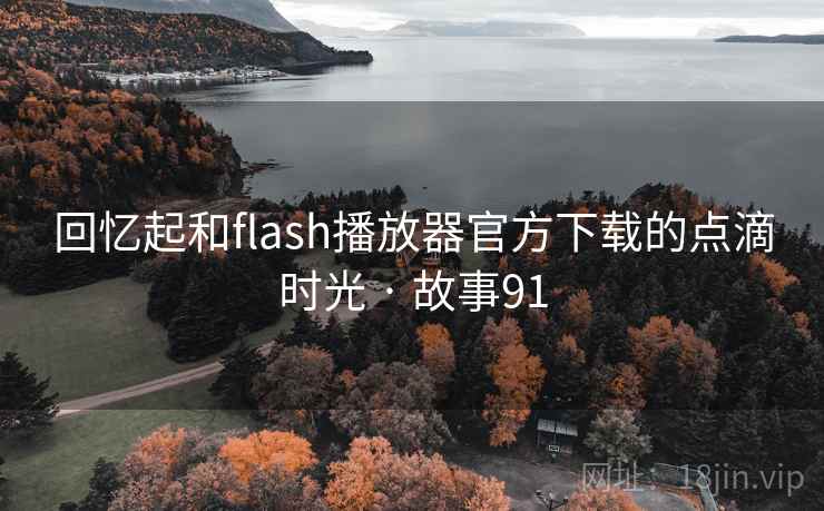 回忆起和flash播放器官方下载的点滴时光 · 故事91